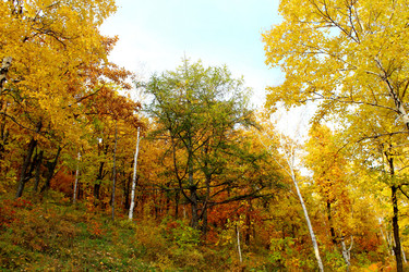 Similar image 831649