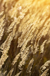 Similar image 831650