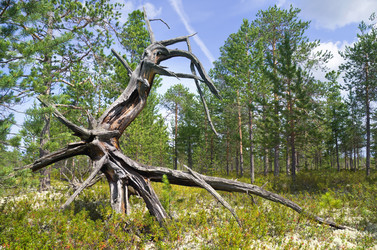 Similar image 831653