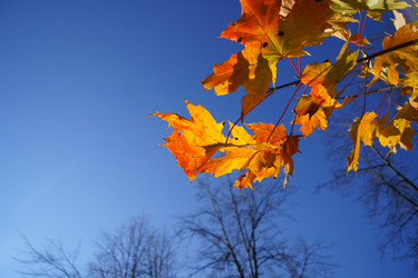 Similar image 831660