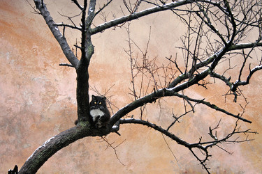 Similar image 831667