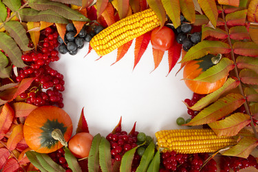 Similar image 831713