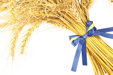 Similar image 831726