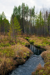 Similar image 831740