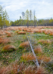 Similar image 831742