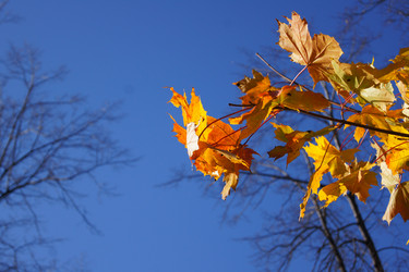 Similar image 831751