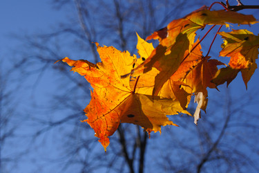 Similar image 831753