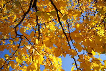 Similar image 831768