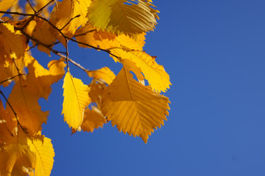 Similar image 831770