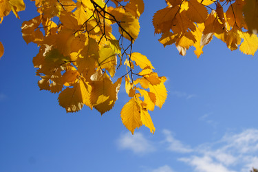 Similar image 831771