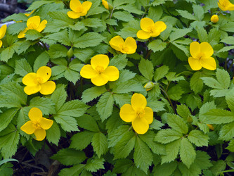 Similar image 831788