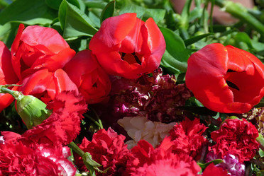 Similar image 831795