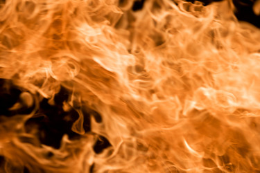 Similar image 831835