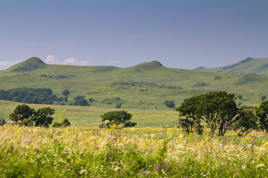 Similar image 831836