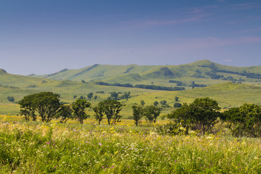 Similar image 831837