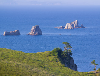 Similar image 831843