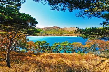 Similar image 831846