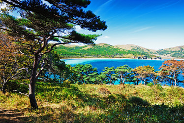 Similar image 831847