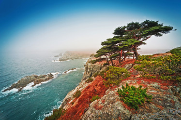 Similar image 831848