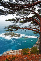 Similar image 831849