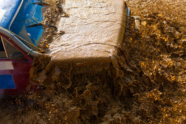 Similar image 831854