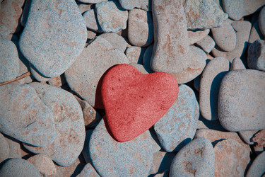 Similar image 831862