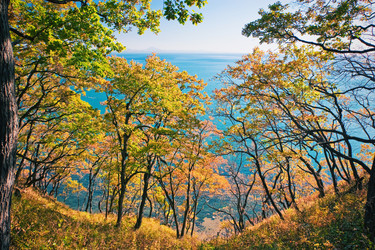 Similar image 831863