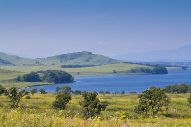 Similar image 831864