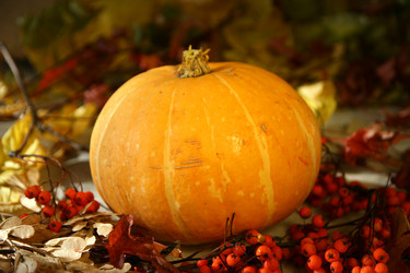 Similar image 831870