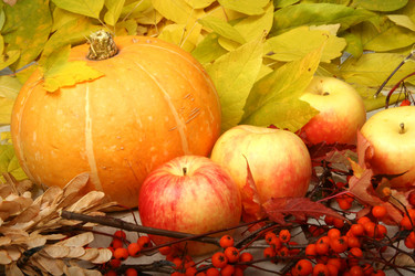 Similar image 831872