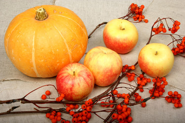 Similar image 831873