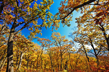 Similar image 831874