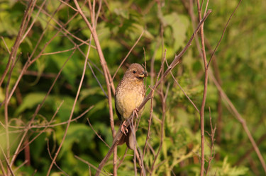 Similar image 831918