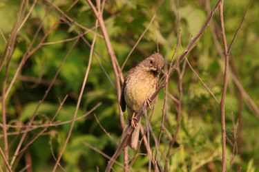 Similar image 831920