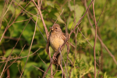 Similar image 831924