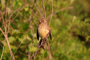 Similar image 831928