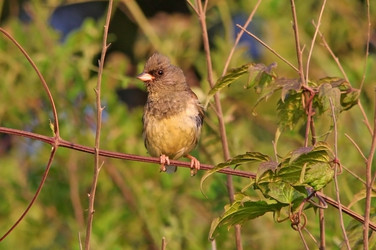 Similar image 831936