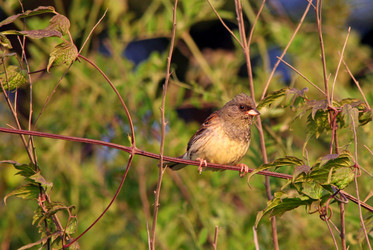 Similar image 831942