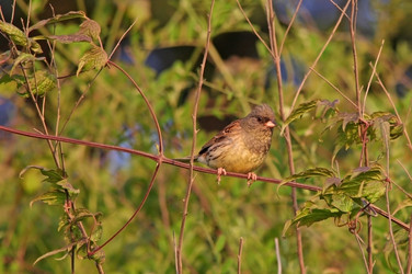 Similar image 831944