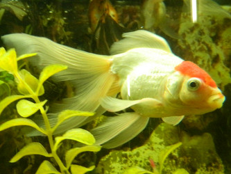 Similar image 831946