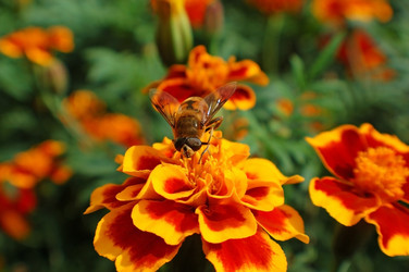 Similar image 831947