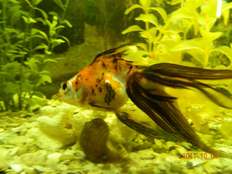 Similar image 831949