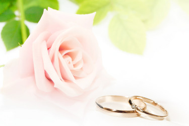 Similar image 831951