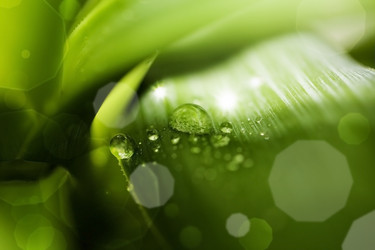 Similar image 831956