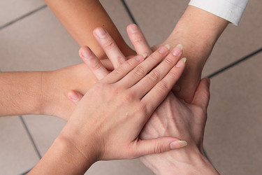 Similar image 831980