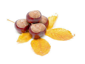 Similar image 832007