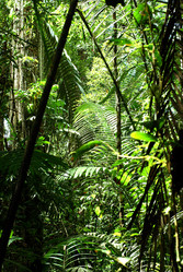 Similar image 832065