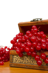 Similar image 832117