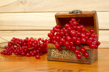 Similar image 832120