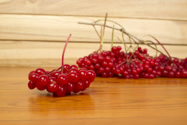 Similar image 832121